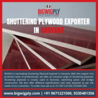Shuttering Plywood Exporter in Haryana